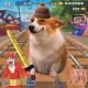 Cash Dogs #7936