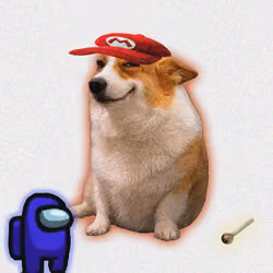 Cash Dogs #5178