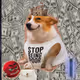 5300