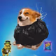 3796