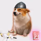 Cash Dogs #5462