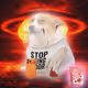 Cash Dogs #5525
