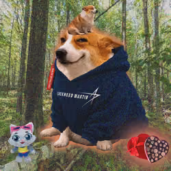 Cash Dogs #9672