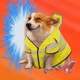 3012