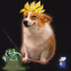 Cash Dogs #5746