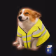 Cash Dogs #8889