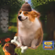 Cash Dogs #9256