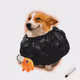 5283