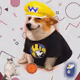9957
