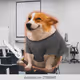 3638