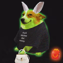 Cash Dogs #9068