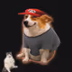 Cash Dogs #4451