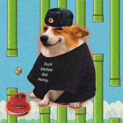 Cash Dogs #4633