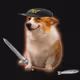 6078