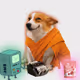 Cash Dogs #9055