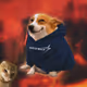 2866