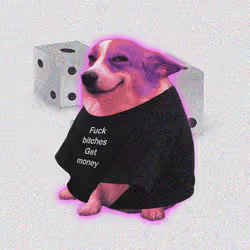 Cash Dogs #4094