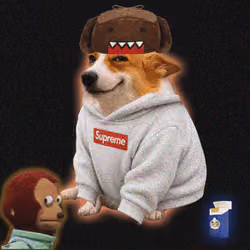 Cash Dogs #5584
