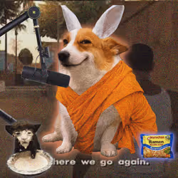 Cash Dogs #3767