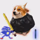 2953