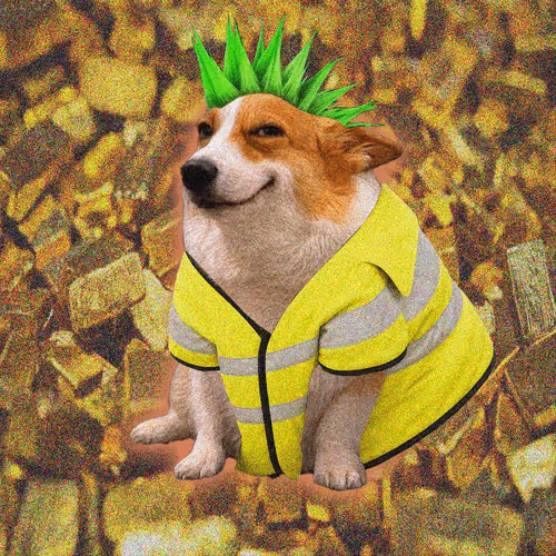 Cash Dogs #4991