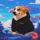 6927