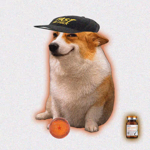 Cash Dogs #9267