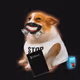 Cash Dogs #6233