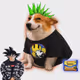 3054