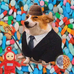 Cash Dogs #197