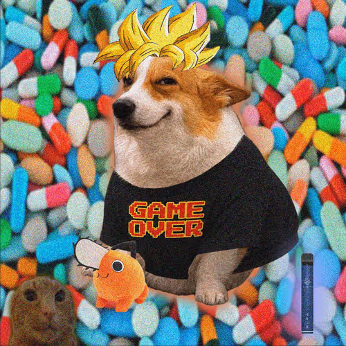 Cash Dogs #8937