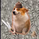 1198