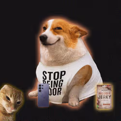 Cash Dogs #2114