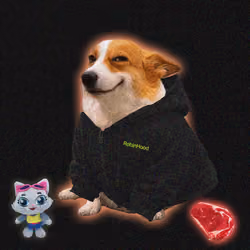Cash Dogs #5662