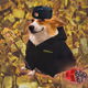 4090
