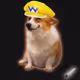 9947
