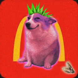 Cash Dogs #8698
