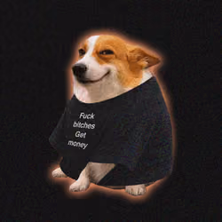 Cash Dogs #5526