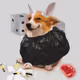 6161