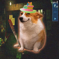 Cash Dogs #2526