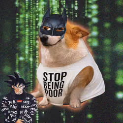 Cash Dogs #7865