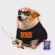 4113