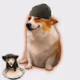 Cash Dogs #1994
