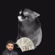 Cash Dogs #930