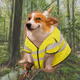 6842