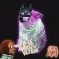 Cash Dogs #3469
