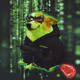 2470