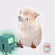 Cash Dogs #612