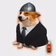7954