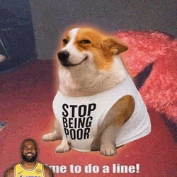 Cash Dogs #5602